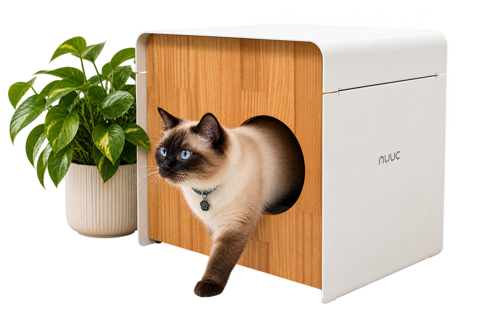 Casa moderna para gatos con planta y felino Siamés