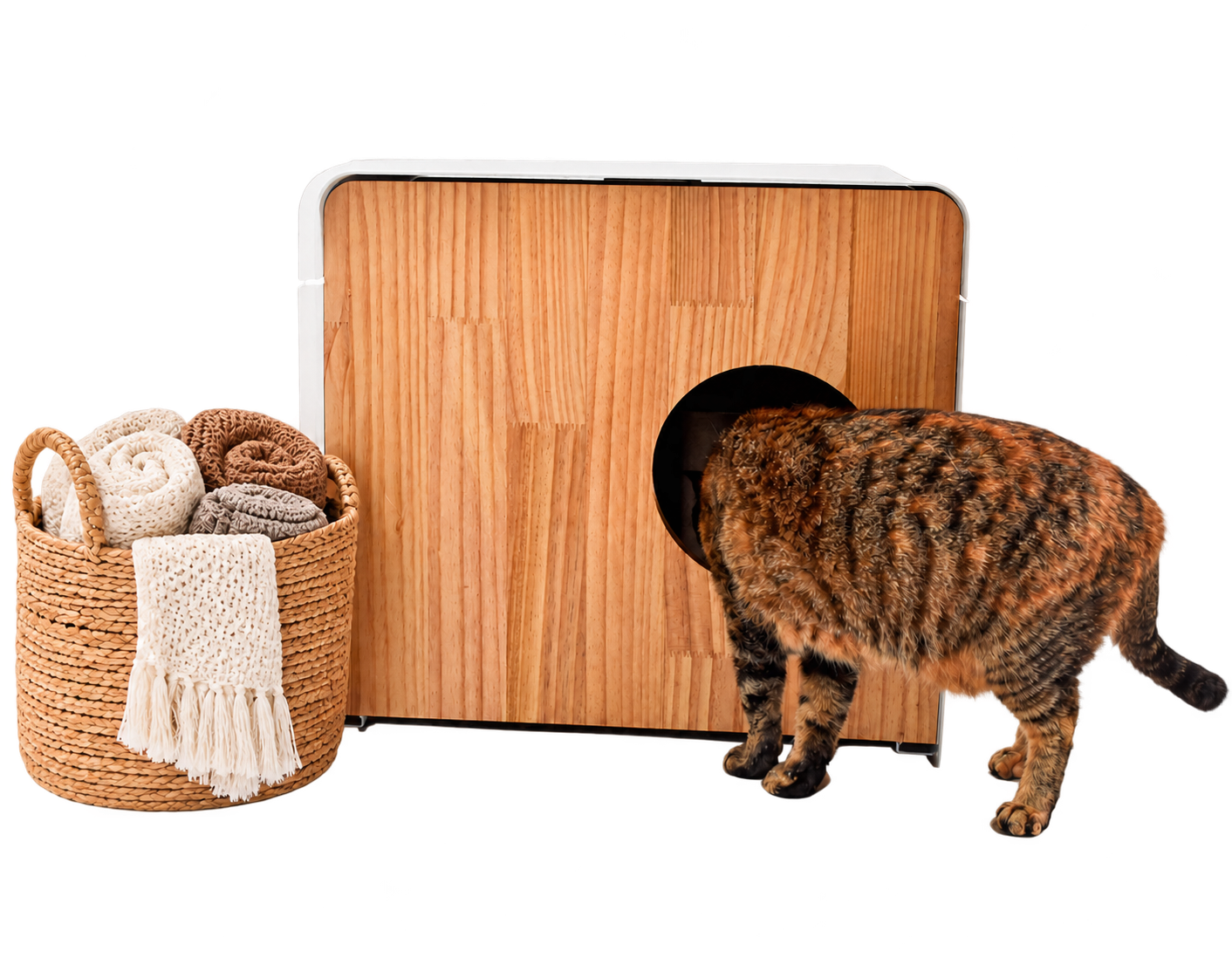 Gato entrando en casa de madera con canasta de toallas